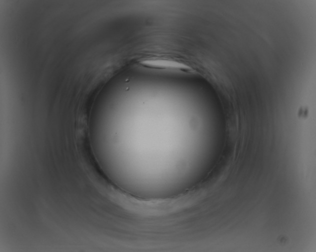 X0000094940038200712131610