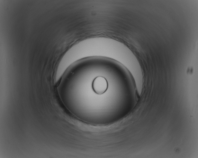 X0000094940039200712131610