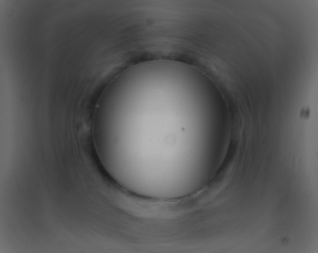 X0000094940040200712131610