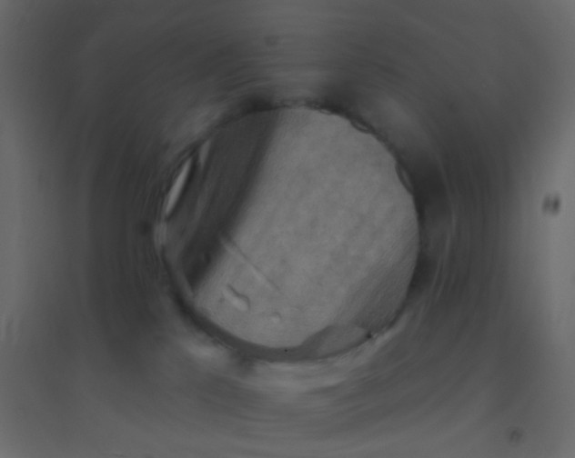 X0000094940041200712131610