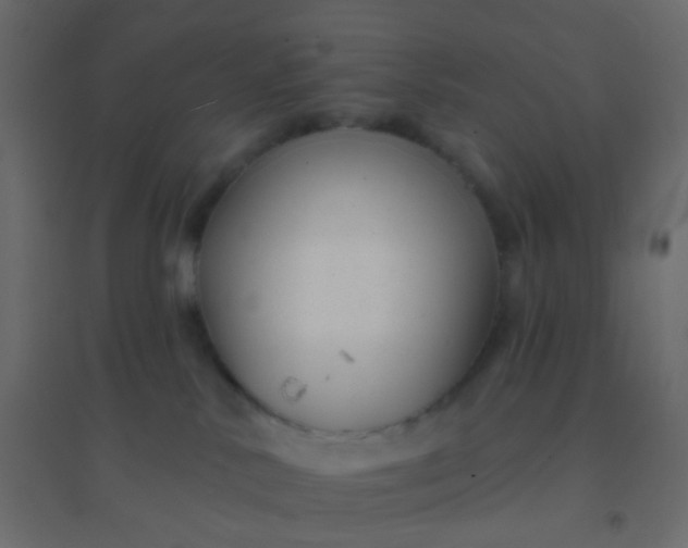 X0000094940042200712131610