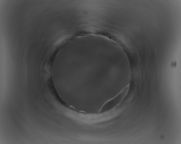 X0000094940043200712131610