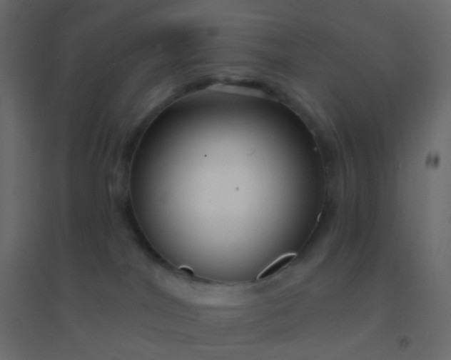 X0000094940044200712131610