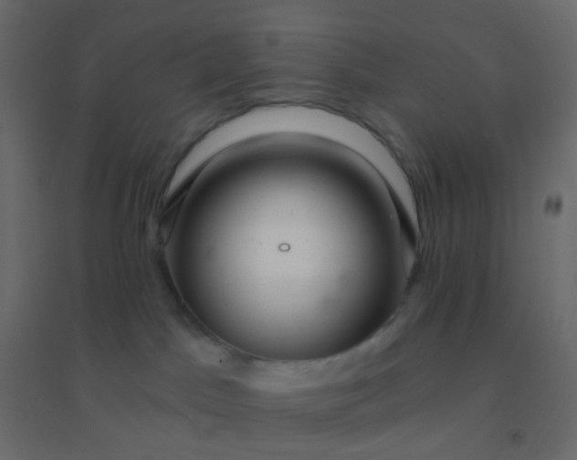 X0000094940045200712131610