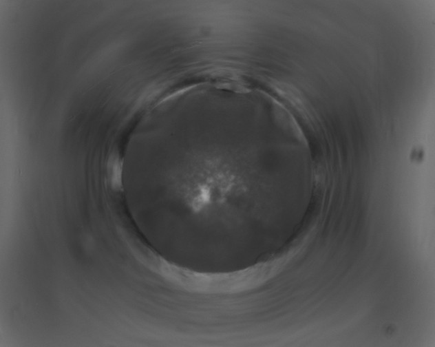 X0000094940046200712131610