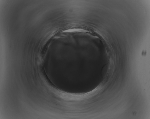 X0000094940048200712131610