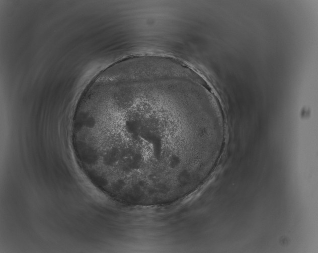 X0000094940049200712131609