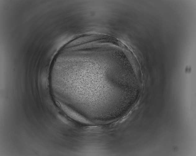 X0000094940050200712131609