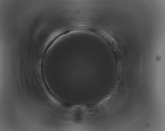 X0000094940051200712131609