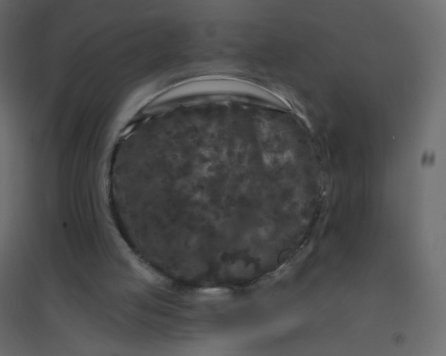 X0000094940053200712131609