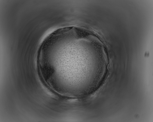 X0000094940054200712131609