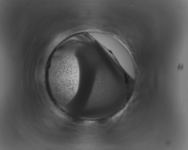 X0000094940055200712131609