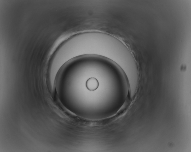 X0000094940056200712131609