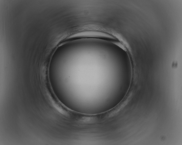 X0000094940057200712131609