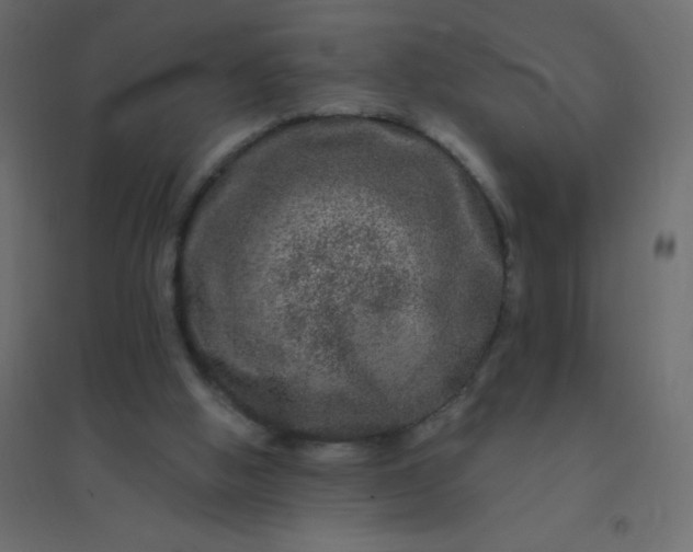 X0000094940058200712131609