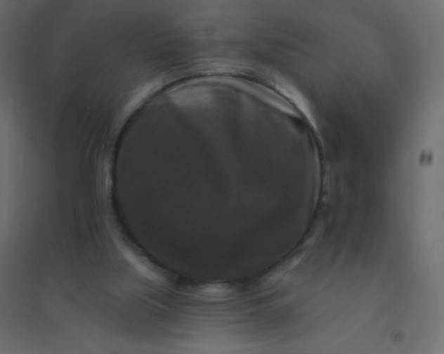 X0000094940059200712131609