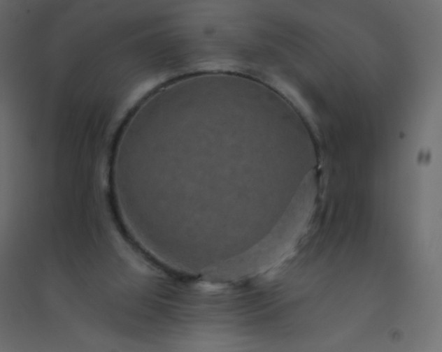 X0000094940060200712131609