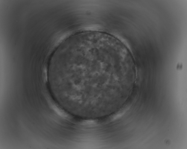 X0000094940061200712131609