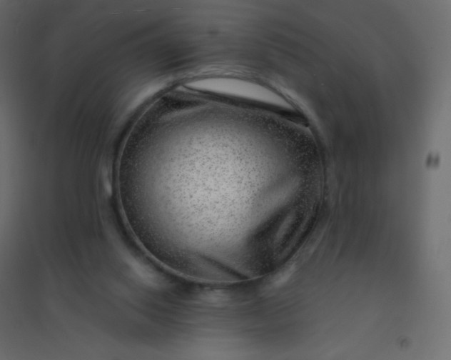 X0000094940062200712131609