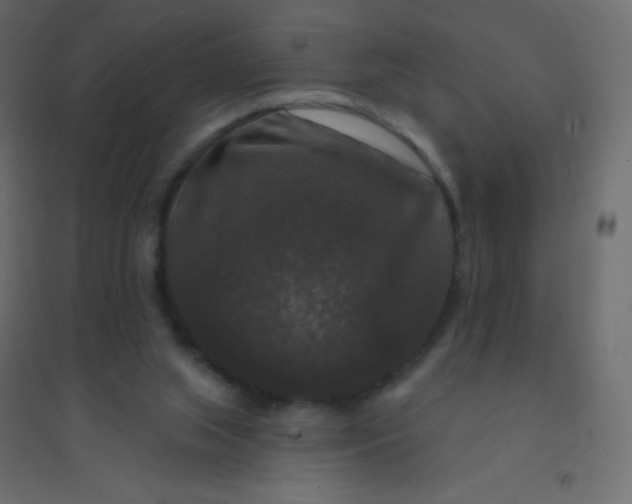 X0000094940063200712131609