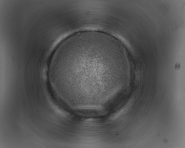 X0000094940064200712131609