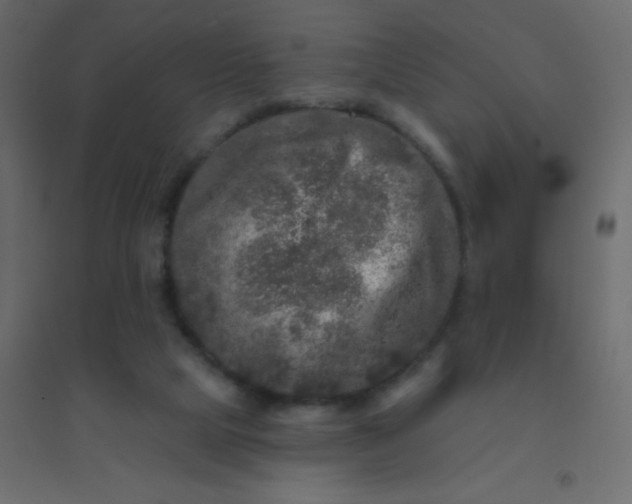 X0000094940065200712131609