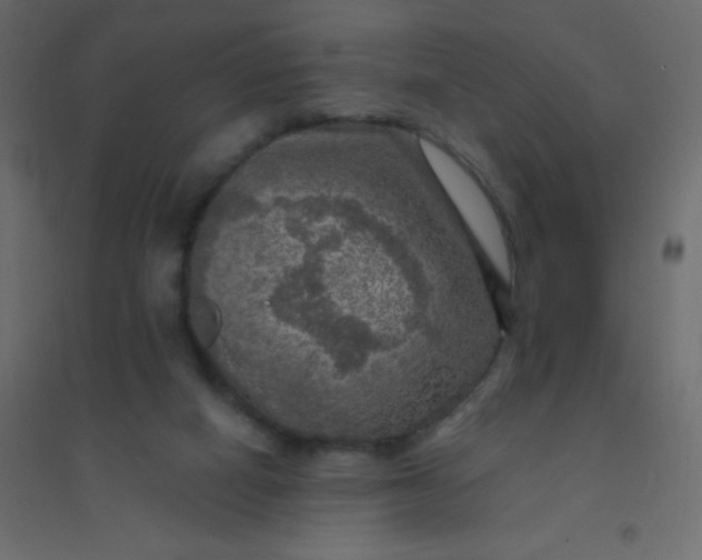 X0000094940066200712131609