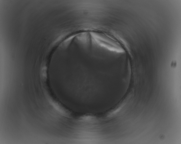 X0000094940067200712131609