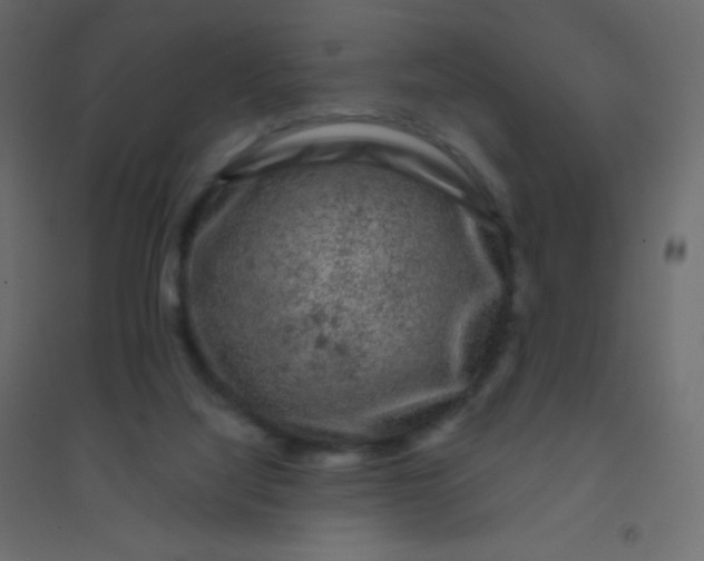 X0000094940068200712131609