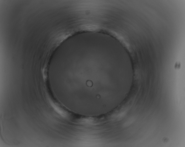 X0000094940069200712131609