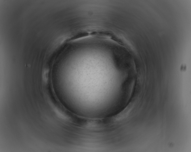 X0000094940070200712131609