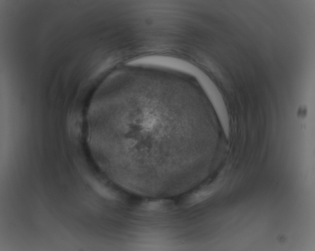 X0000094940072200712131609