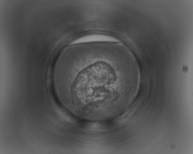 X0000094940074200712131609