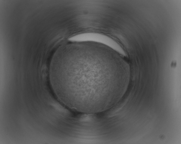 X0000094940077200712131609