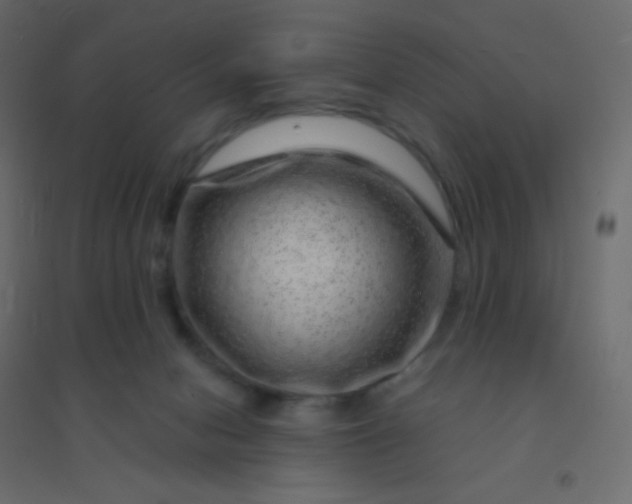 X0000094940078200712131609