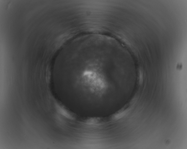 X0000094940080200712131610