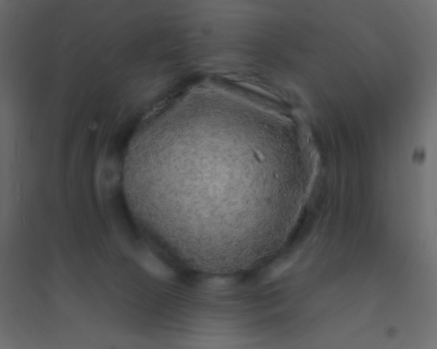 X0000094940081200712131610