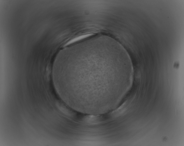 X0000094940082200712131610