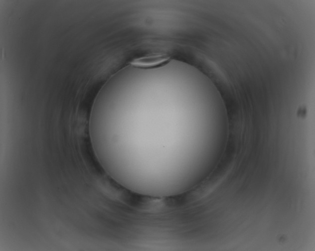 X0000094940083200712131610