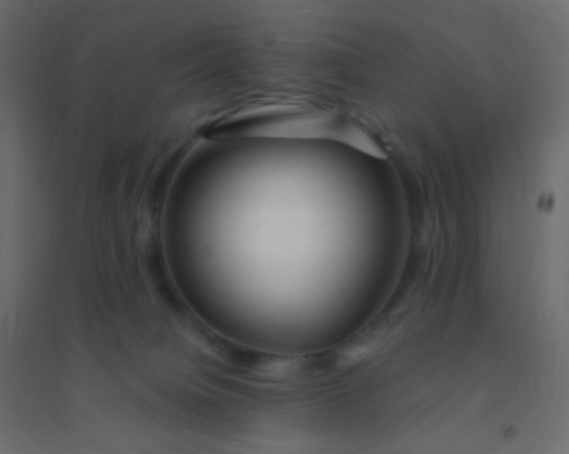 X0000094940084200712131610