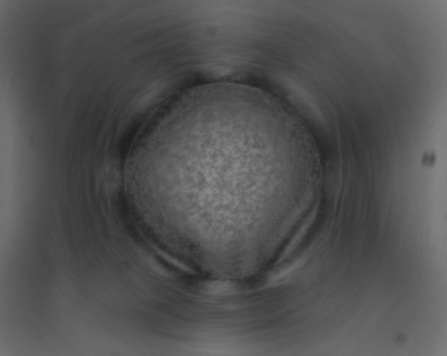 X0000094940085200712131610