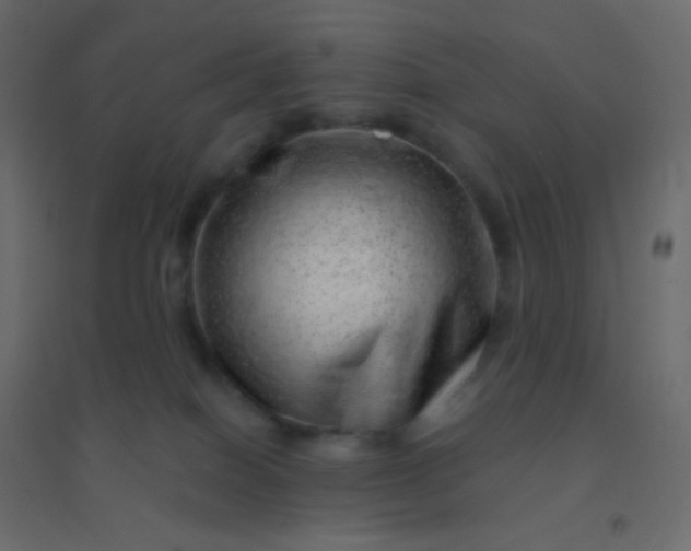 X0000094940086200712131610