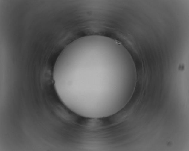 X0000094940087200712131610