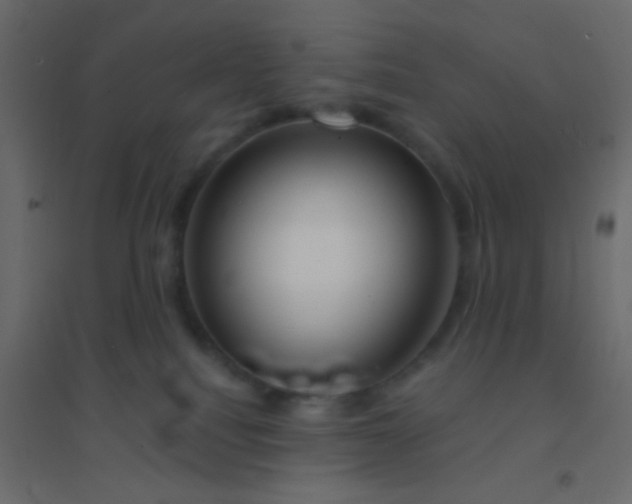 X0000094940088200712131610