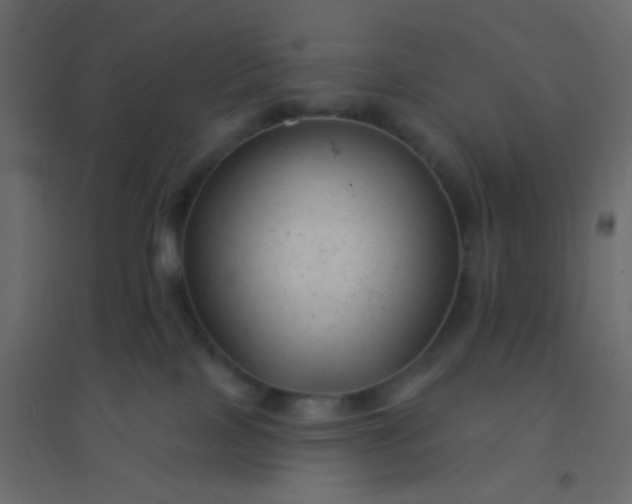 X0000094940089200712131610