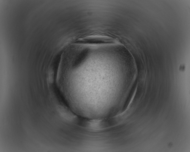 X0000094940090200712131610