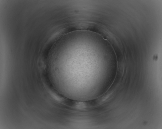 X0000094940091200712131610