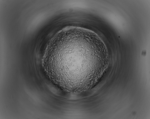 X0000094940093200712131610