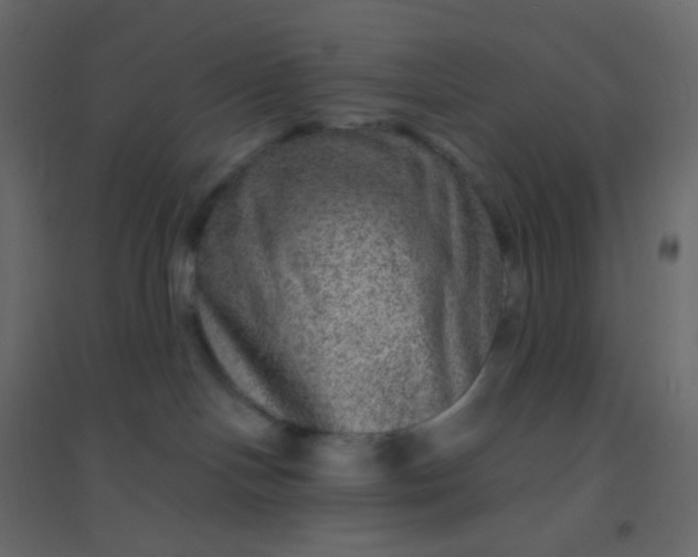 X0000094940094200712131610