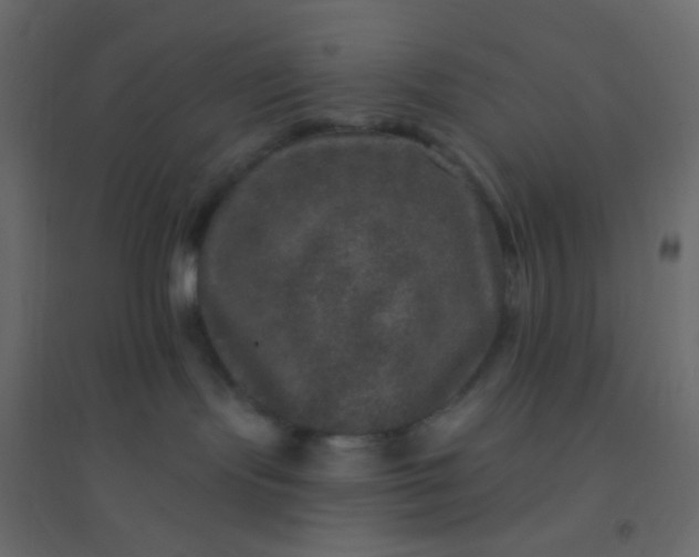 X0000094940095200712131610